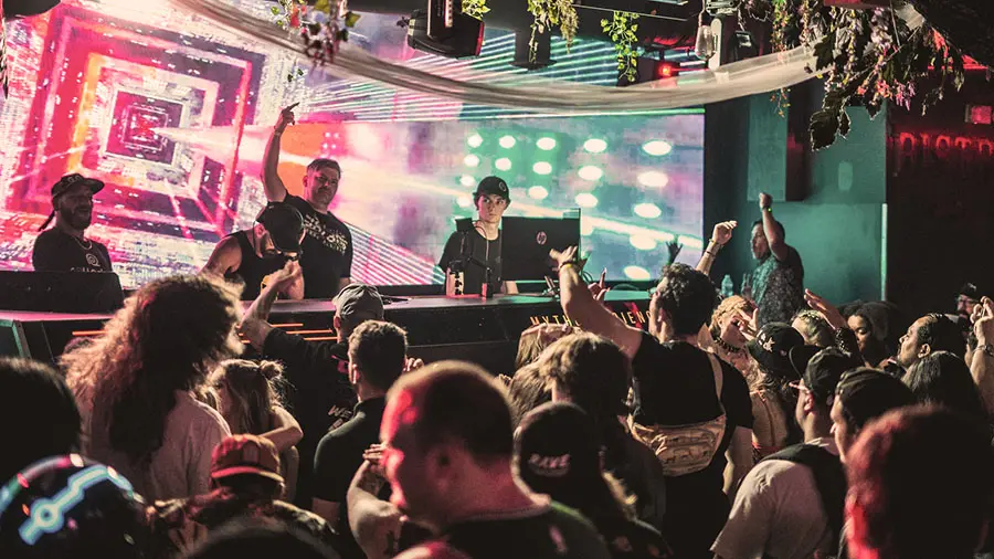 two deejays hype the crowd while performing at a nightclub