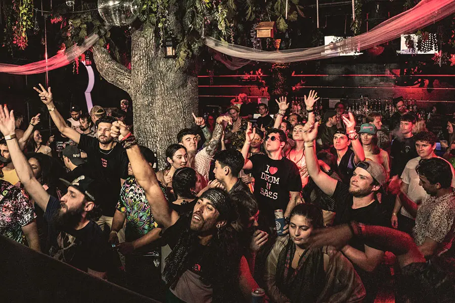 crowd of people with hands up cheering a deejay in a nightclub